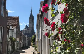 Get the best out of Delft by creating memories during our private walking tour!