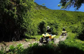 Above The Skyline Quads