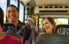 Majestic Circle Island Tour with Lunch