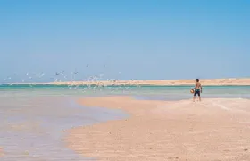 Snorkeling trip to Ras Mohamed & The White Island aboard Luxury Yacht