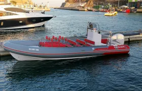 Dolphins and Benagil Caves from Albufeira