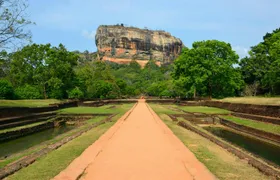 Sigiriya, Dambulla and Minneriya Park Safari Tour from the East Coast
