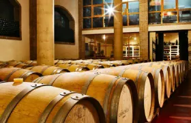 Bodega Doña Felisa: Guided Tour & Wine Tasting or Lunch Adult