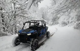 Private Buggy Experience All Seasons in Pamporovo