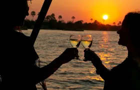 Dinner Cruise on the Zambezi River, Victoria Falls