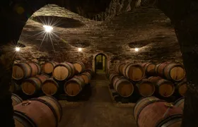 Full-Day Private Tour, 6 Premiers & Grands Crus, The Best of Burgundy