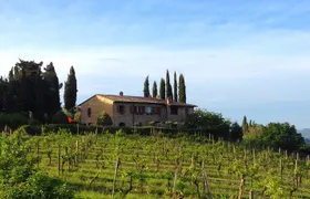 Private Tuscan meal with Wine and EVO oil tasting