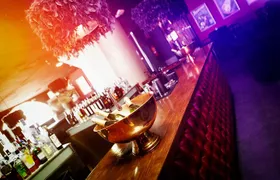 House of Illusion Magic Show with Drinks