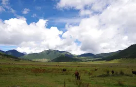 Bhutan Vacation (5 Nights-6 Days)