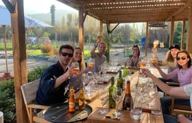 Santiago, Chile: Maipo Valley wine tour visiting 4 vineyards