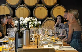 Siena: A Wine Tour and Tasting Experience