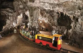 Postojna Cave & Predjama Castle from Trieste