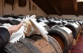 Private Full Day Parma Food Tour: Parmesan Cheese, Parma Ham, Lunch, Vinegar