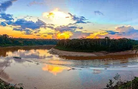 Tambopata Chuncho Macaw Clay Lick 3 Days