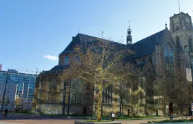 Rotterdam in half a day: All-inclusive, Authentic private Tour of Rotterdam