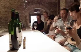 Private Wine and Oil Tour in the Priorat Wine Region