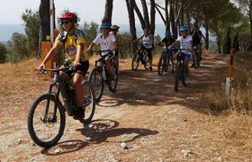 Unique EnoBike experience with tasting in 2 excellent wineries