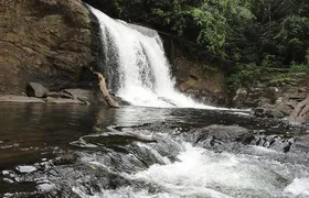 Sinharaja Rain Forest UNESCO Walk and Bird Watching Day Tour