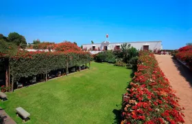 Skip the Line: Larco Museum Admission Ticket