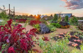 RHS Garden Wisley Ticket Child