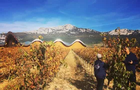 Semi-Private La Rioja Tour of 3 Premium Wineries from Bilbao