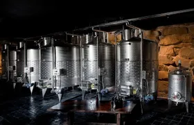 Discover Sustainable Wines in a Guided Tour and Tasting