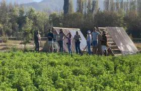 Santiago, Chile: Maipo Valley Wine Tour with Visits to 4 Vineyards