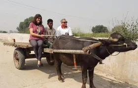 Real Village Tour Amritsar