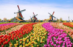 Dutch Countryside and Zaanse Schans Windmills Private Tour