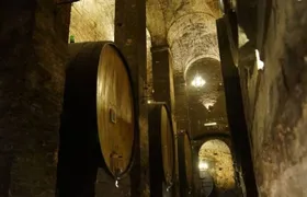 Tasting Tour in One of The Most Beautiful Cellars in the World