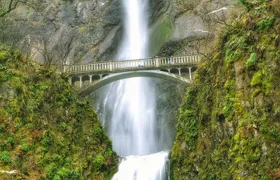Multnomah Falls and Columbia River Gorge Half-Day Hiking Tour