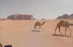 Booking transportation minivan in Jordan