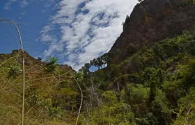 Private Tour for the Highlights of Madagascar