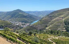 Douro Valley 3 Wine Experiences with Lunch & Optional Boat Cruise