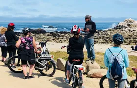 Monterey's 17 Mile Drive Electric Bike Tour, 3 hour