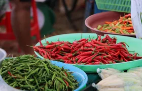 Authentic Thai Cooking Class in Khao Lak with Market Tour by Pakinnaka School