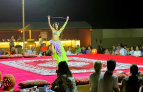 Half-Day Desert Safari from Abu Dhabi