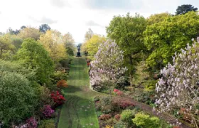 RHS Garden Wisley Ticket (Child)