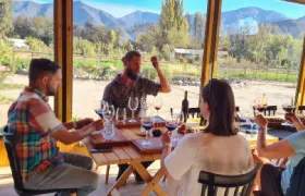 Santiago, Chile: Maipo Valley Wine Tour with Visits to 4 Vineyards