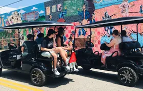 Wynwood Graffiti Golf Cart Small-Group Tour