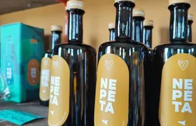 Botanical workshop & Nepeta's bitters tasting in Val di Noto