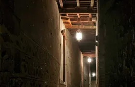 Guided Walking Tour of Immortal Toledo