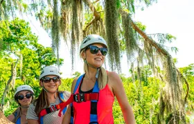 New Orleans Zipline Swamp Tour