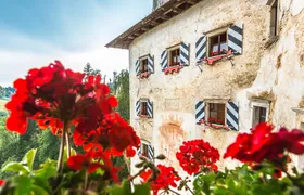 Postojna Cave and Predjama Castle - Entrance Tickets Included 