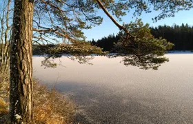 Hiking tour in Nuuksio National Park with meal and snacks