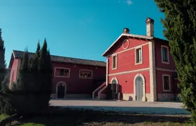 Visit and tasting at the Erasmo winery between signature wines