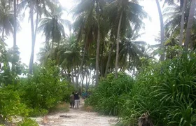 Local Island Day Trip from Hulhumale