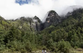 Best of Bhutan Tour( Culture- Hikes- Short Trek- Monastic Stay)