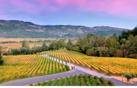 1-day tour to Napa Valley and Hawk Hill | Admission ticket not included