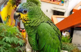 Comuna 13 Graffiti Tour with Street Food